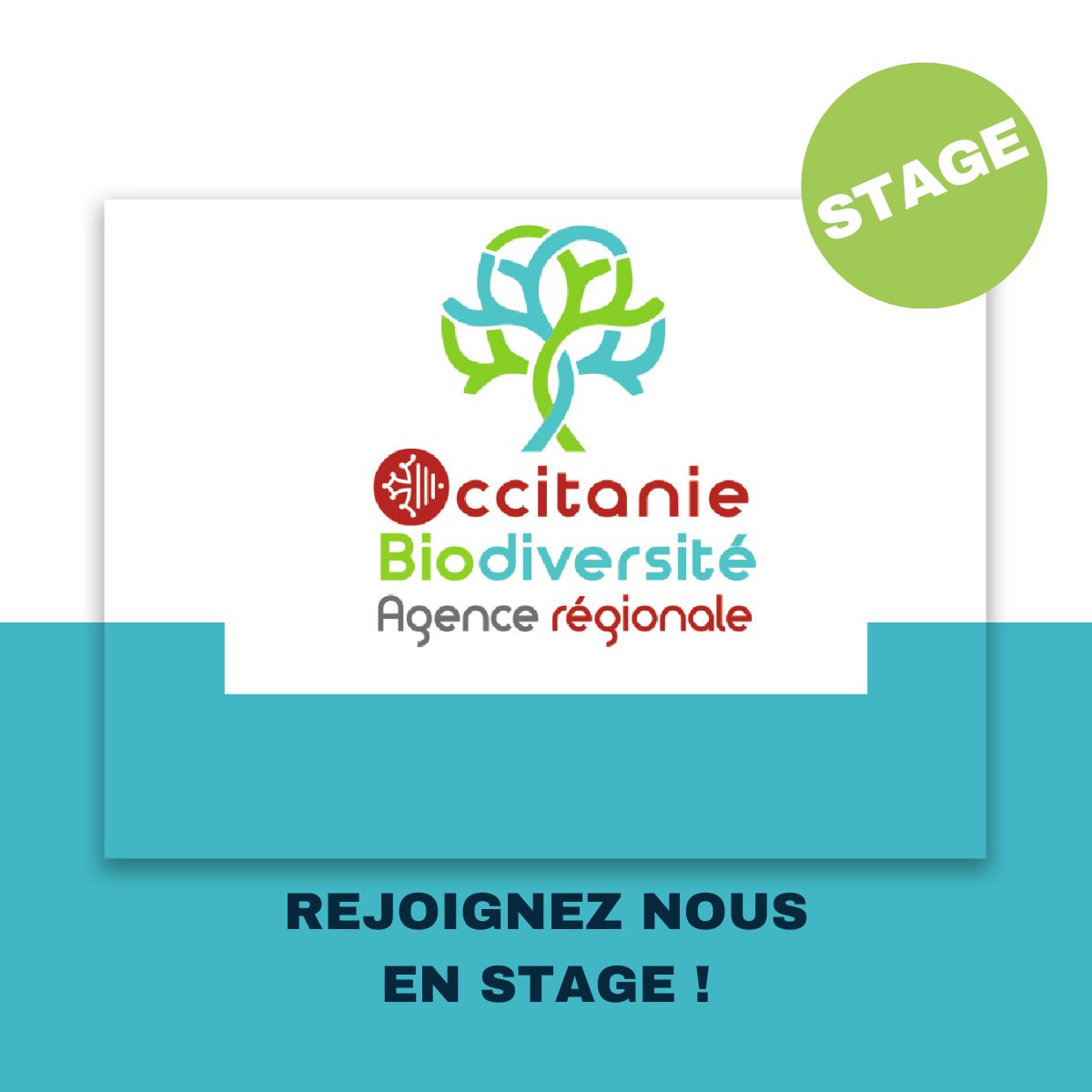 Offre de stage TEN 2024 ARB Occitanie