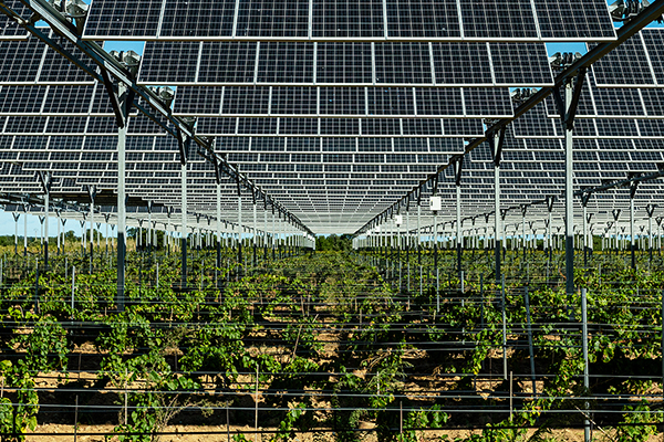 Agrivoltaïsme et photovoltaïque : où en est-on dans les espaces naturels ?