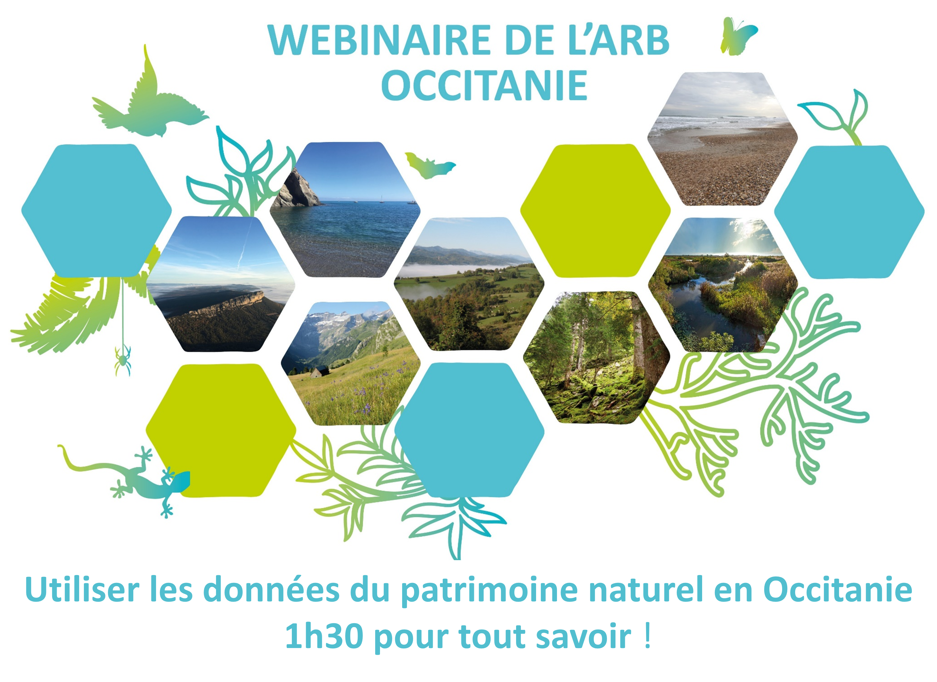 WEBINAIRE DE L’ARB OCCITANIE – Utiliser les données du patrimoine naturel en Occitanie : 1h30 pour tout savoir !