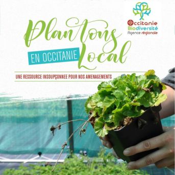 Le guide Plantons local en Occitanie