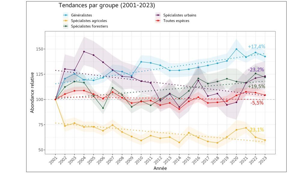 Evolution des oiseaux communs entre 2001 et 2023 en Occitanie