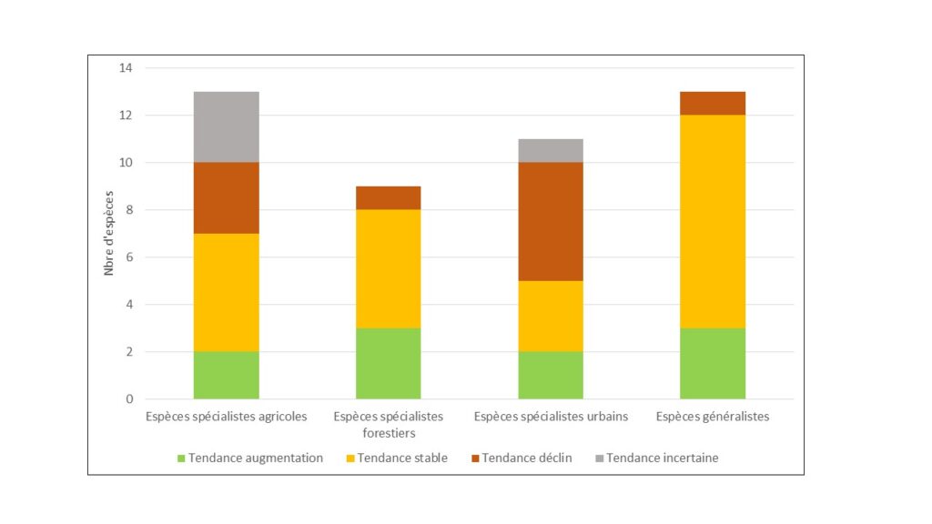 Evolution des oiseaux communs entre 2001 et 2023 en Occitanie